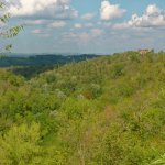 Il mare verde della Valle della morte